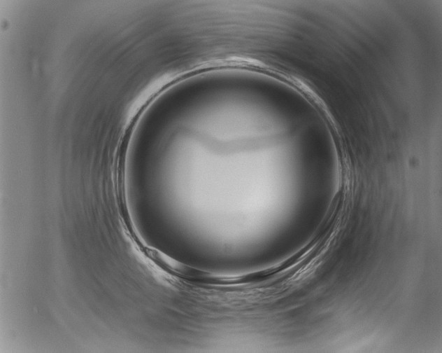 X0000054431054200507291244