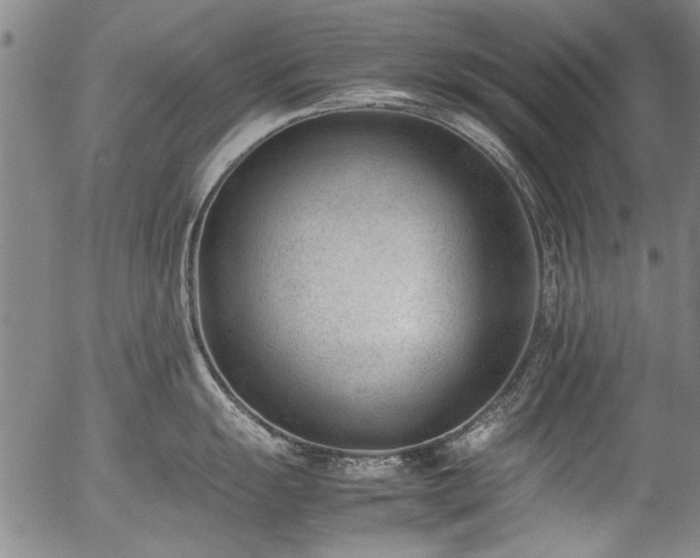 X0000054431055200507291244