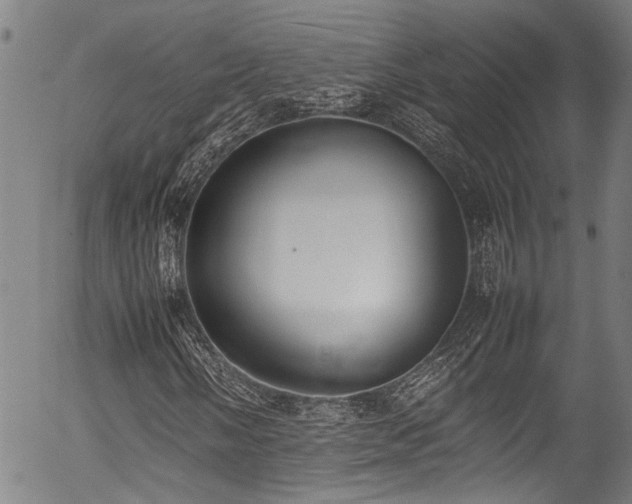 X0000054431058200507291243