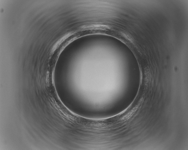 X0000054431066200507291243