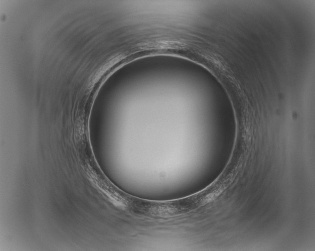 X0000054431073200507291243