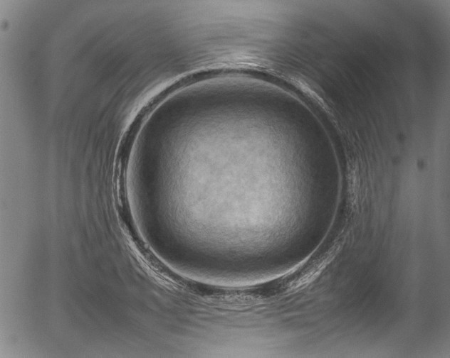 X0000054431077200507291242