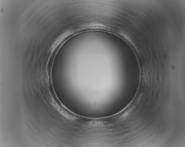 X0000054431082200507291242