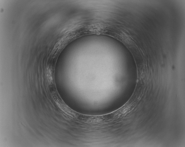 X0000054431106200507291241