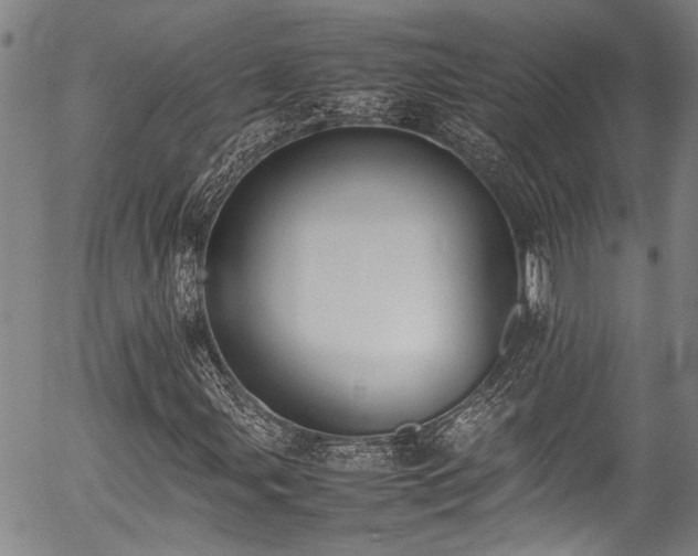 X0000054431107200507291241