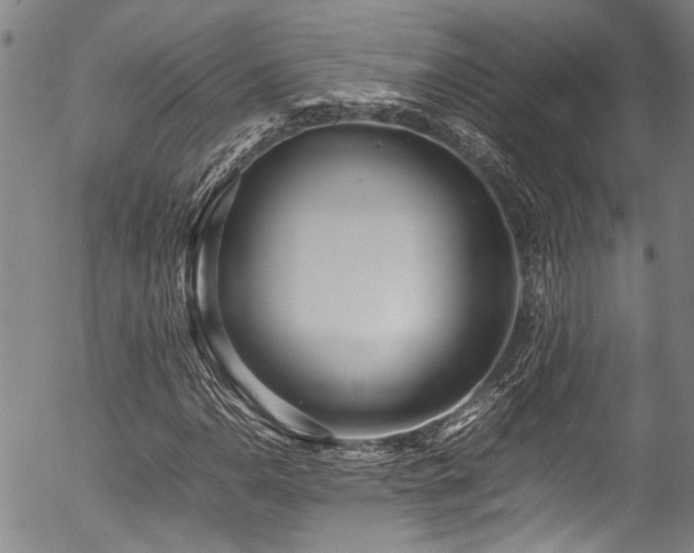 X0000054431110200507291241