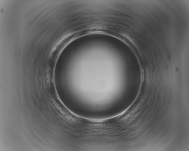 X0000054431115200507291241