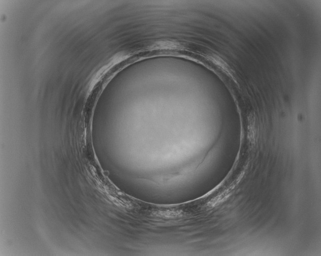 X0000054431117200507291241