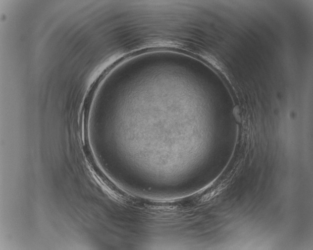 X0000054431127200507291242
