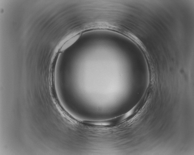 X0000054431144200507291242