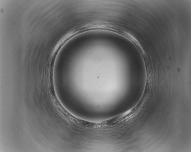 X0000054431146200507291242