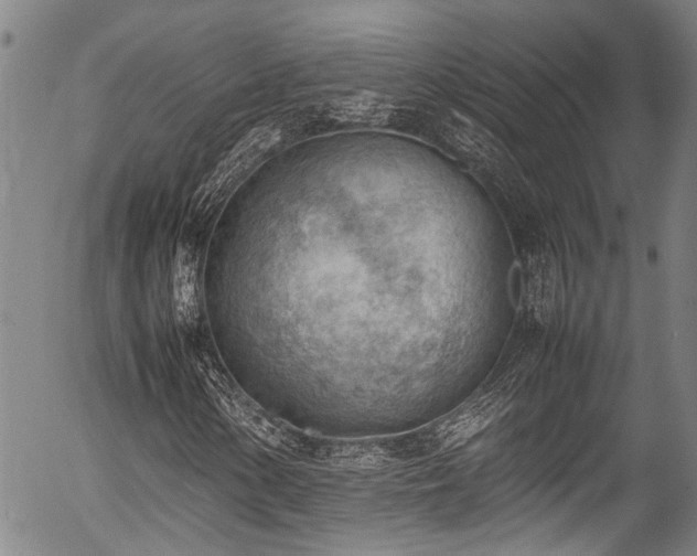 X0000054431154200507291241