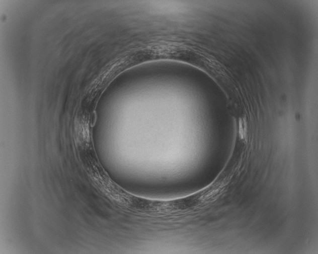 X0000054431155200507291241