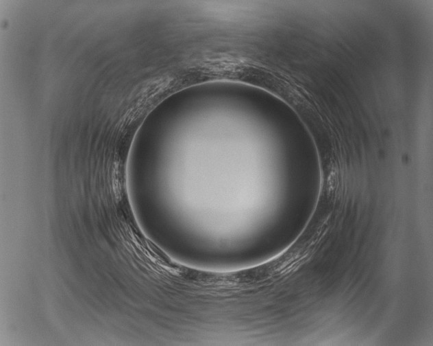 X0000054431156200507291241