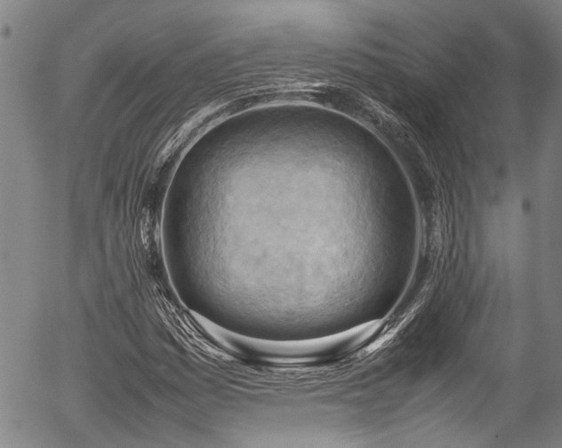 X0000054431161200507291241