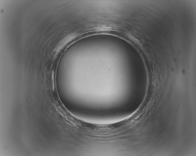 X0000054431171200507291241