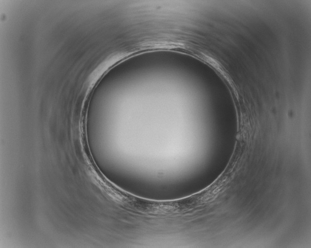 X0000054431187200507291241