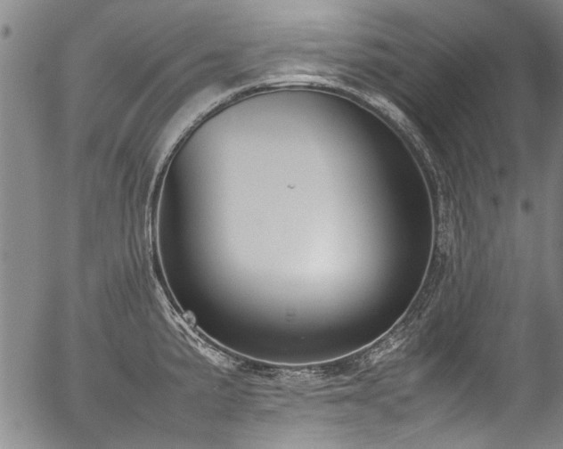 X0000054431191200507291241