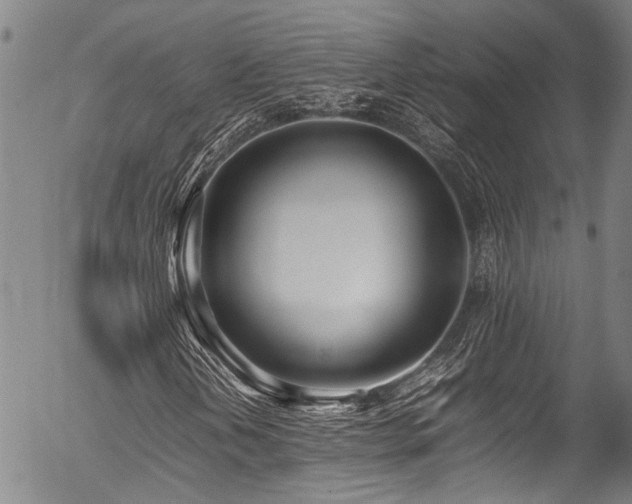 X0000054431202200507291240