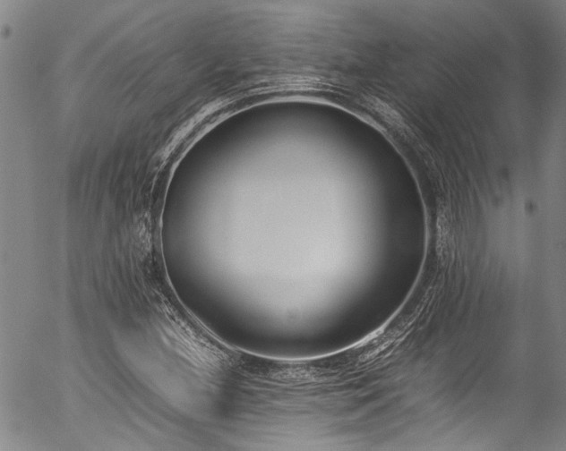 X0000054431212200507291240