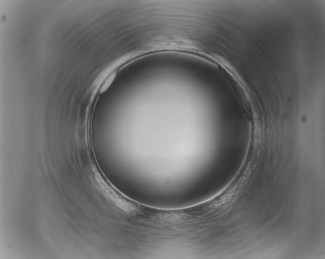 X0000054431246200507291240
