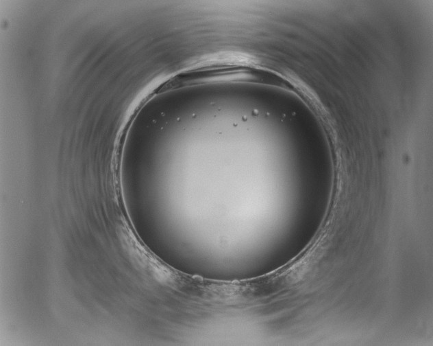 X0000054431248200507291240
