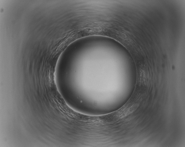 X0000054431250200507291240