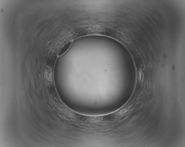X0000054431251200507291240