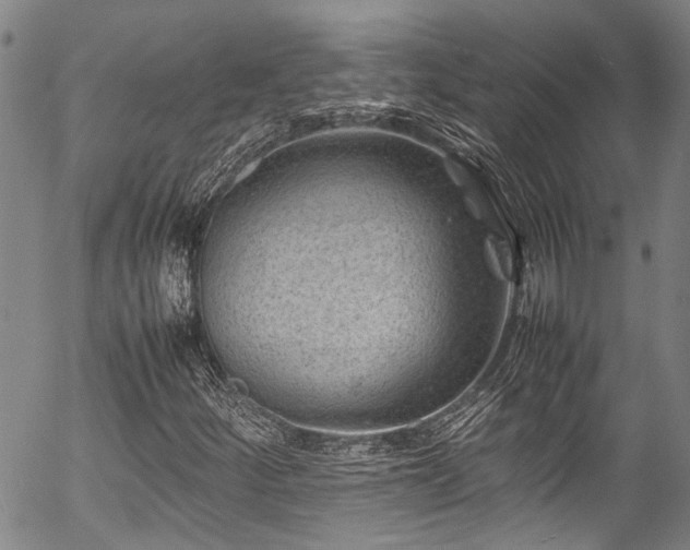 X0000054431252200507291240