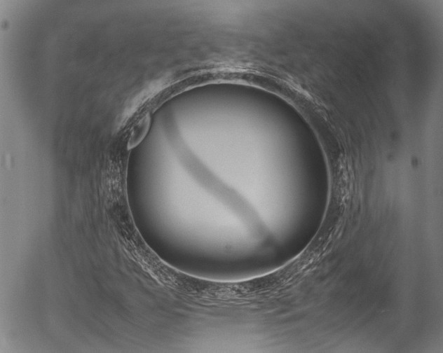 X0000054431255200507291240