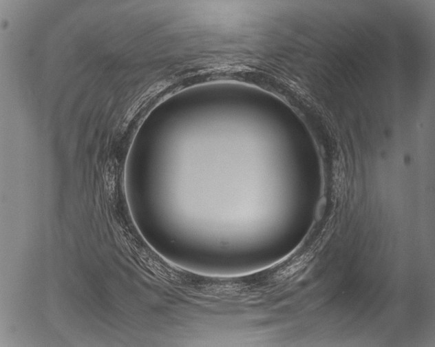X0000054431257200507291240