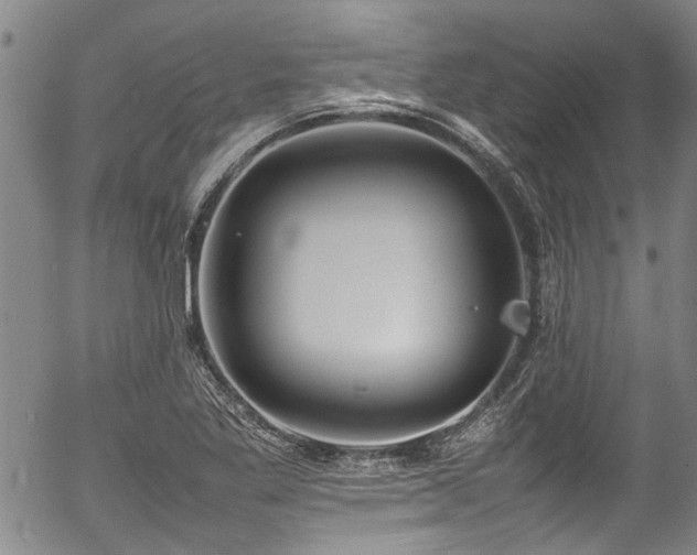 X0000054431269200507291239