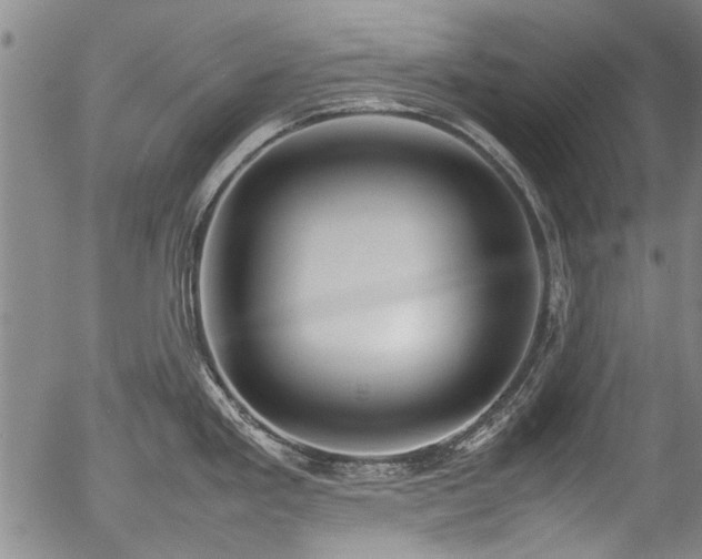 X0000054431293200507291239