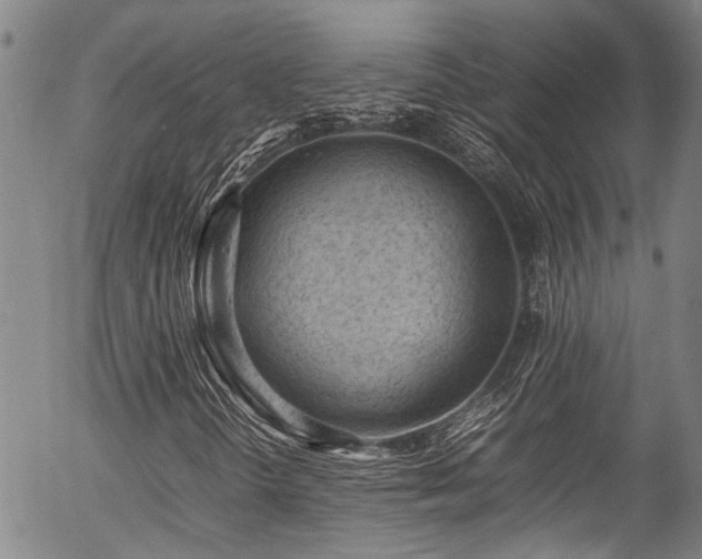 X0000054431298200507291238