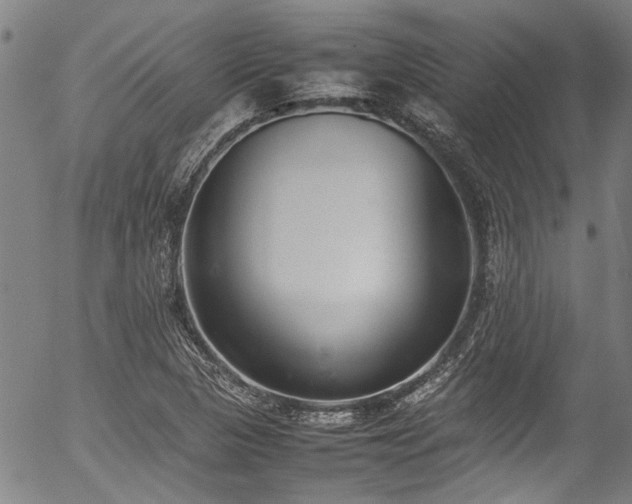 X0000054431313200507291238