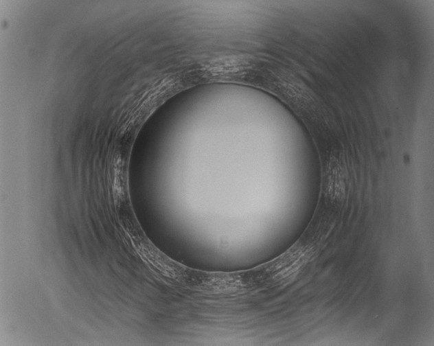 X0000054431346200507291238