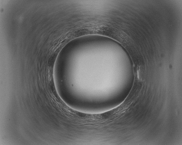 X0000054431347200507291238