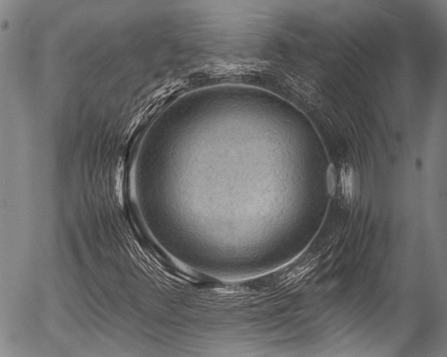 X0000054431348200507291238
