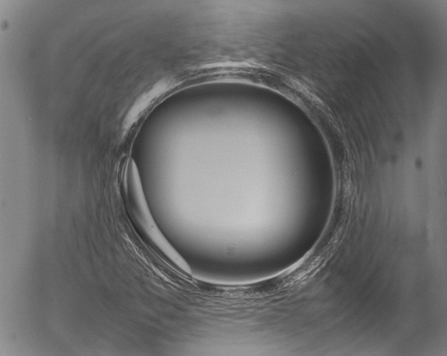X0000054431357200507291238