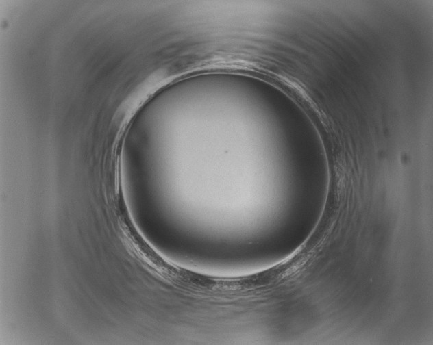 X0000054431371200507291238