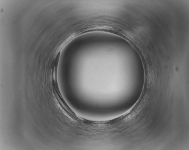 X0000054431377200507291238