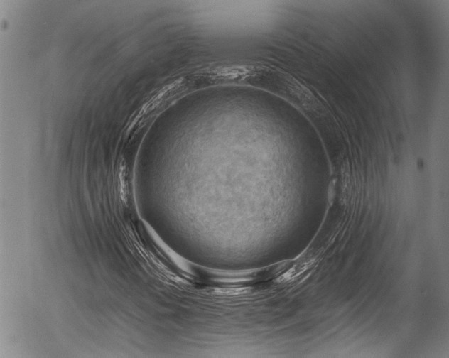 X0000054431394200507291237