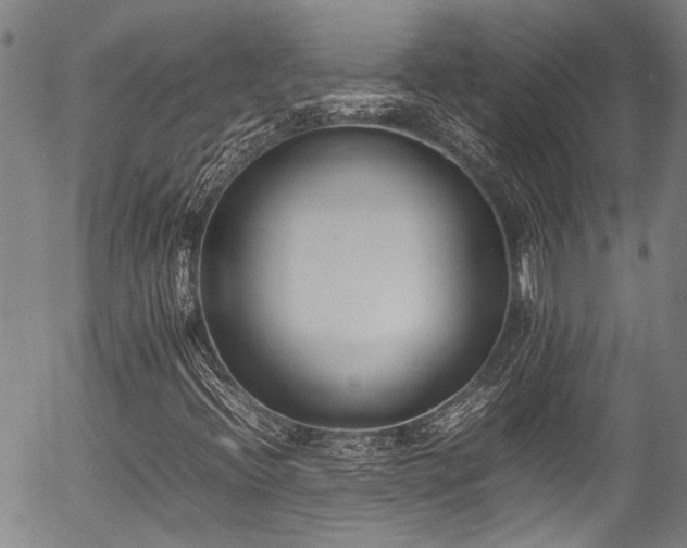 X0000054431396200507291237