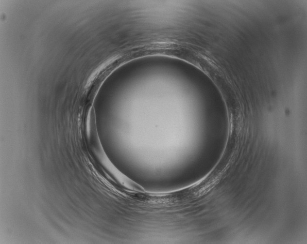 X0000054431402200507291237