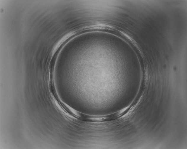 X0000054431418200507291237