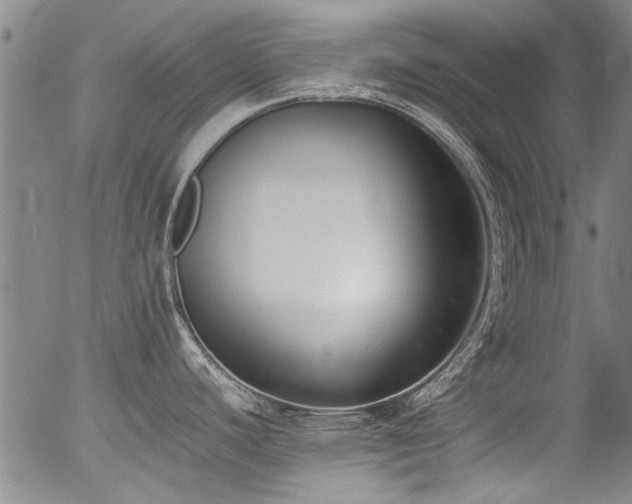 X0000054431440200507291237