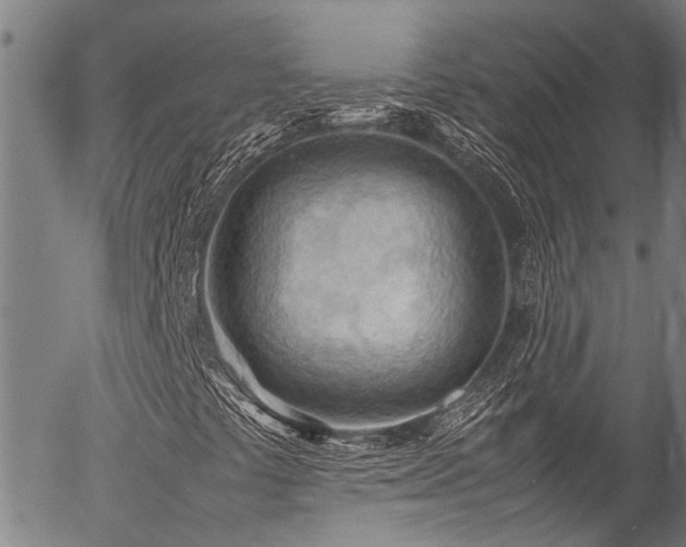 X0000054431441200507291237