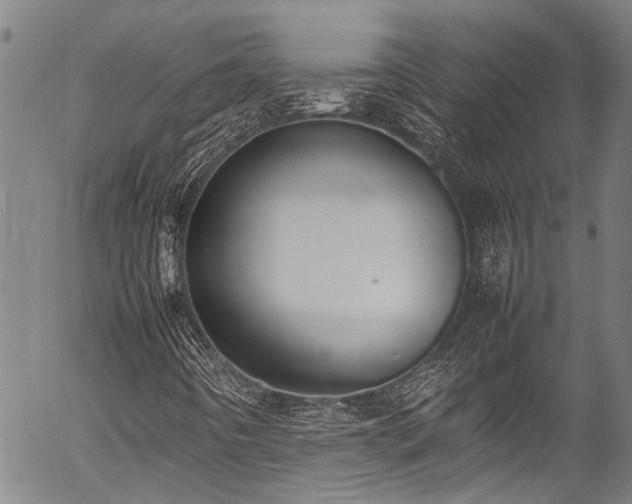 X0000054431442200507291237