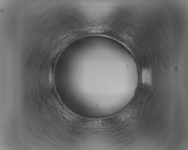 X0000054431444200507291236