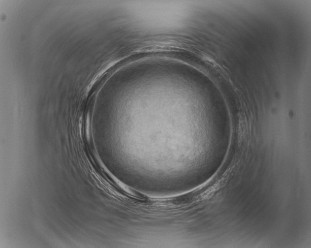 X0000054431449200507291236